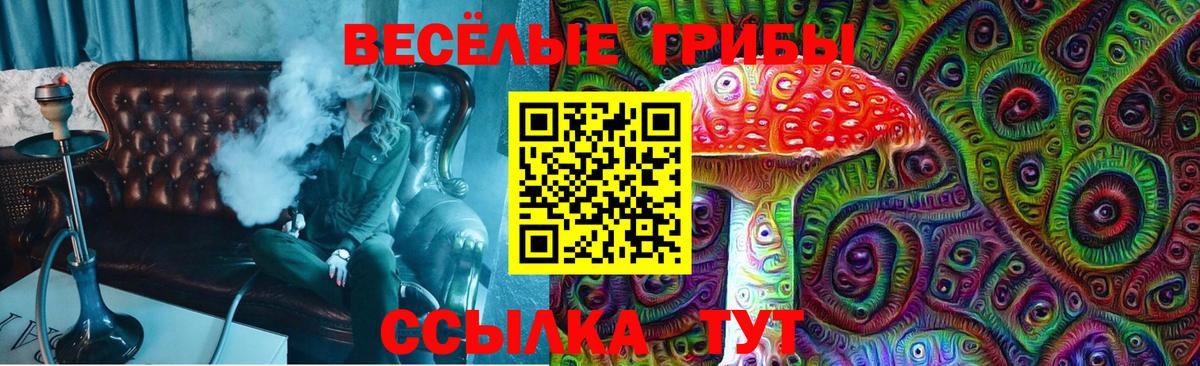 Лангепас  Псилоцибиновые грибы Cubensis  Галлюциногенные грибы прущие грибы  Вход с VPN 
