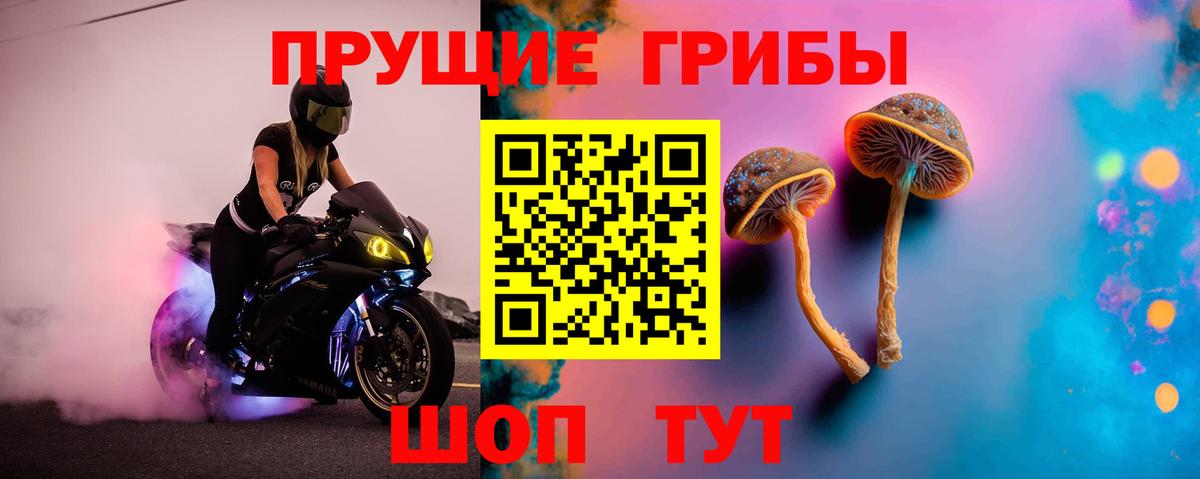 Галлюциногенные грибы Cubensis Лангепас